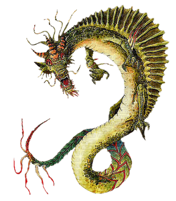 dragon  by nataliplus - besplatni png