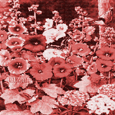 Y.A.M._summer landscape background flowers red - Бесплатный анимированный гифка