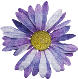 Flower purple violet - PNG gratuit