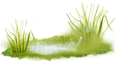 grass deco border herbe - darmowe png