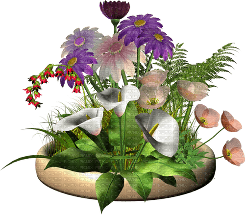 fleur,flower bed, garden, Adam64 - ücretsiz png