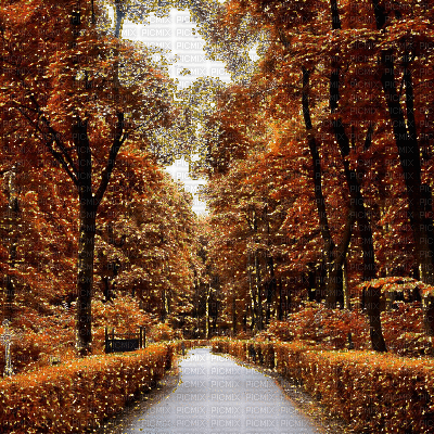 Autumn Animated Background - Darmowy animowany GIF
