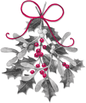 soave deco winter christmas  branch holly - zadarmo png