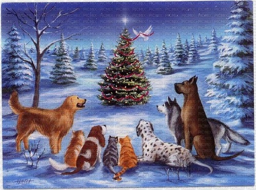 Christmas dogs and cats - 無料png