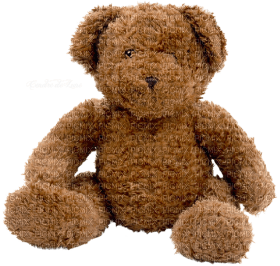 Kaz_Creations Bear Teddy - Free PNG