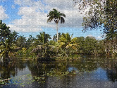 maisema landscape - Free PNG