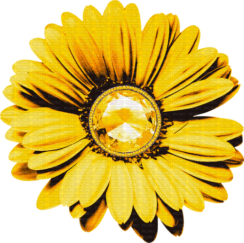 Flower.Yellow - nemokama png
