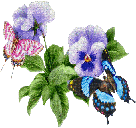 mariposas - Gratis animeret GIF