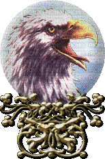 eagle globe - Gratis animeret GIF