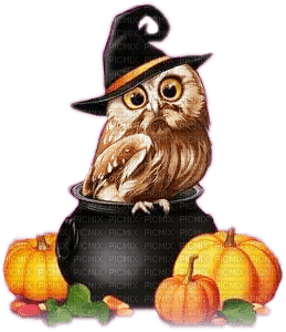 soave deco halloween owl pumpkin orange brown - 無料png