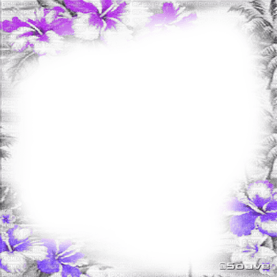 soave frame summer flowers tropical black white - zdarma png