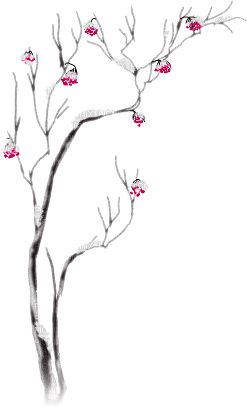 soave deco tree branch winter black white - Free PNG