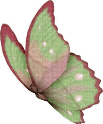 papillon ( - PNG gratuit