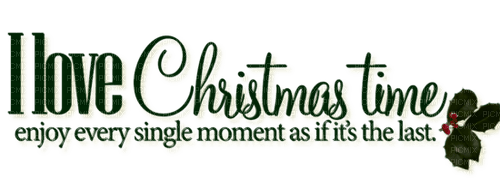 Love Christmas time.Text.Green.Victoriabea - 免费PNG