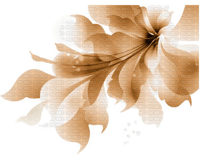 Flower, Flowers, Brown, Deco, Decoration - Jitter.Bug.Girl - PNG gratuit