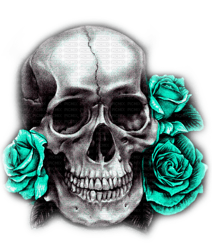 Skull.Roses.Black.White.Teal - By KittyKatLuv65 - gratis png