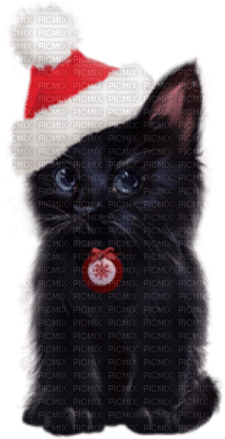 Kaz_Creations Cats Cat Kittens Kitten  Christmas - бесплатно png