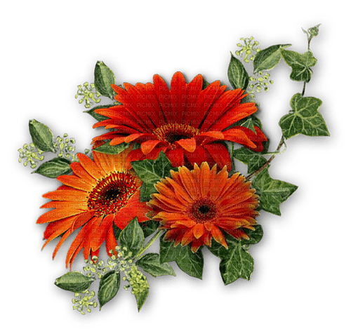 blommor-flowers - zadarmo png