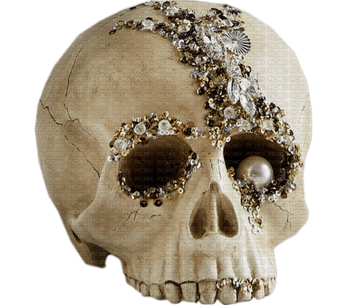 skull by nataliplus - Free PNG