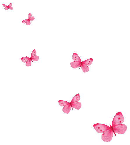  - By KittyKatLuv65, animated , butterflies ,  scrap , spring , summer , cute , pink - Free animated GIF - PicMix