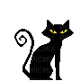 black cat - GIF เคลื่อนไหวฟรี