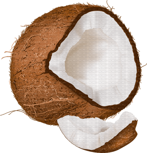 Coconut - besplatni png