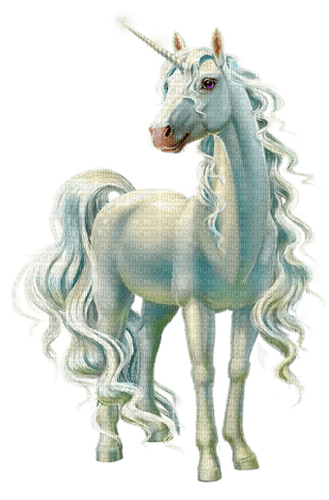 unicorn by nataliplus - безплатен png