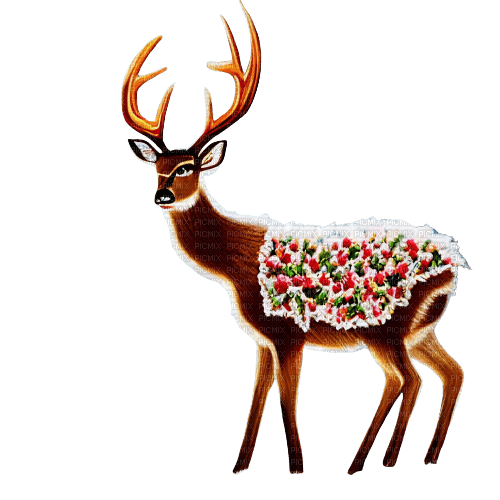 kikkapink winter deer animal - 無料png