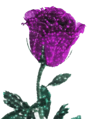 tulipán - 免费动画 GIF