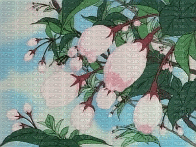 çiçek - Δωρεάν κινούμενο GIF
