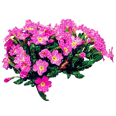 purple flowers - Besplatni animirani GIF