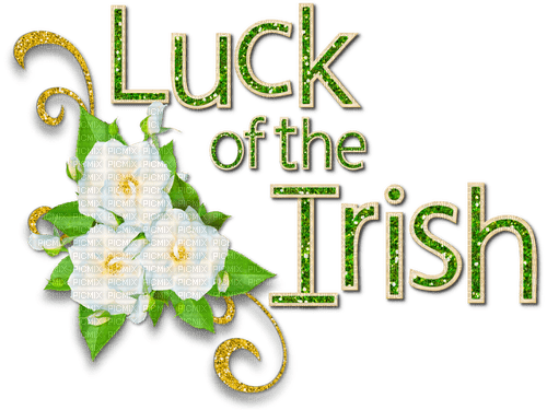 Luck Of The Irish Text - ingyenes png