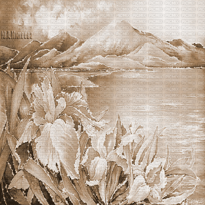 Y.A.M._summer landscape background flowers Sepia - Kostenlose animierte GIFs