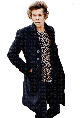 Kaz_Creations Harry Styles One Direction Singer Band Music - PNG gratuit