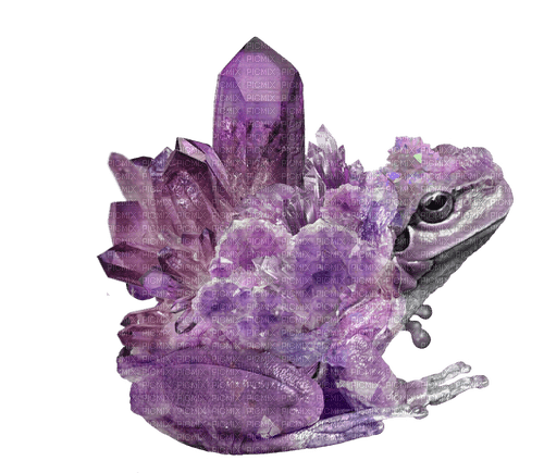 Amethyst crystal froggy - ücretsiz png