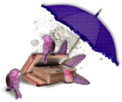 Kaz_Creations Deco Book Birds Umbrella - PNG gratuit