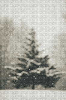Background Winter Tree - Бесплатный анимированный гифка