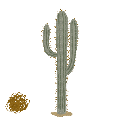 Cactus Desert - Darmowy animowany GIF