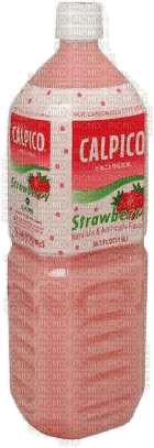 strawberry calpico - png grátis