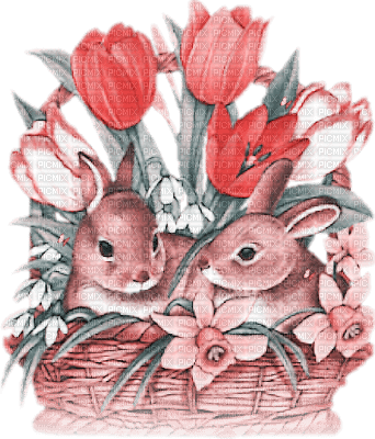 soave deco animals bunny spring  pink teal - безплатен png