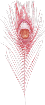 feathers anastasia - ücretsiz png