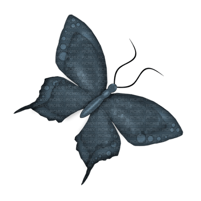 Kaz_Creations Deco Butterfly Colours - png ฟรี