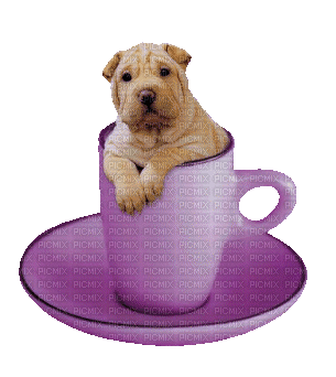 pup in a mug - Безплатен анимиран GIF
