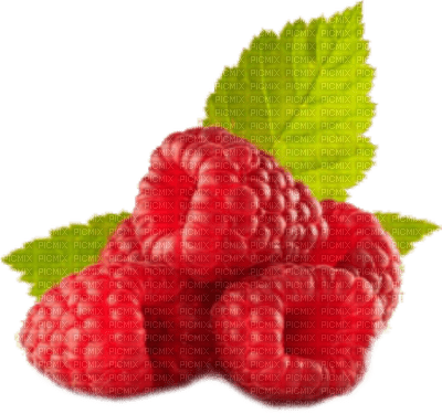 patymirabelle fuits framboise - png grátis