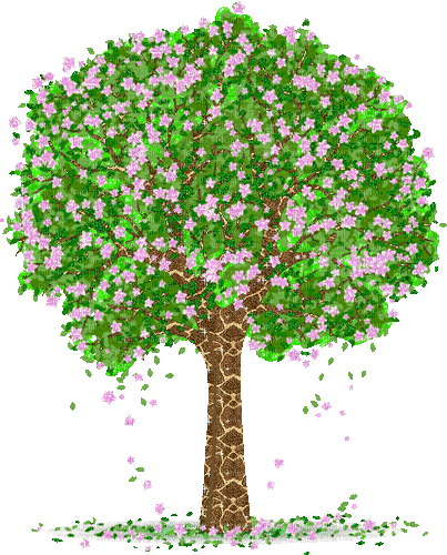 spring tree - Gratis geanimeerde GIF