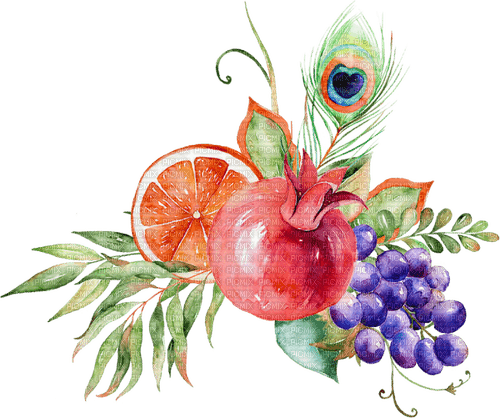 watercolor fruit Bb2 - бесплатно png