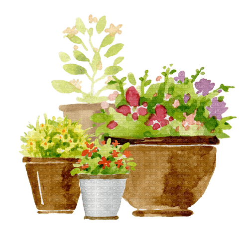 flowerpots Bb2 - png grátis