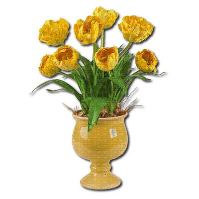 vase de fleur.Cheyenne63 - besplatni png