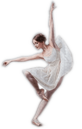 Rena Ballett Ballerina Tanz - 免费PNG