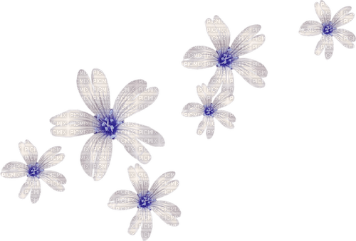 blommor-blå--flowers--blue - ücretsiz png